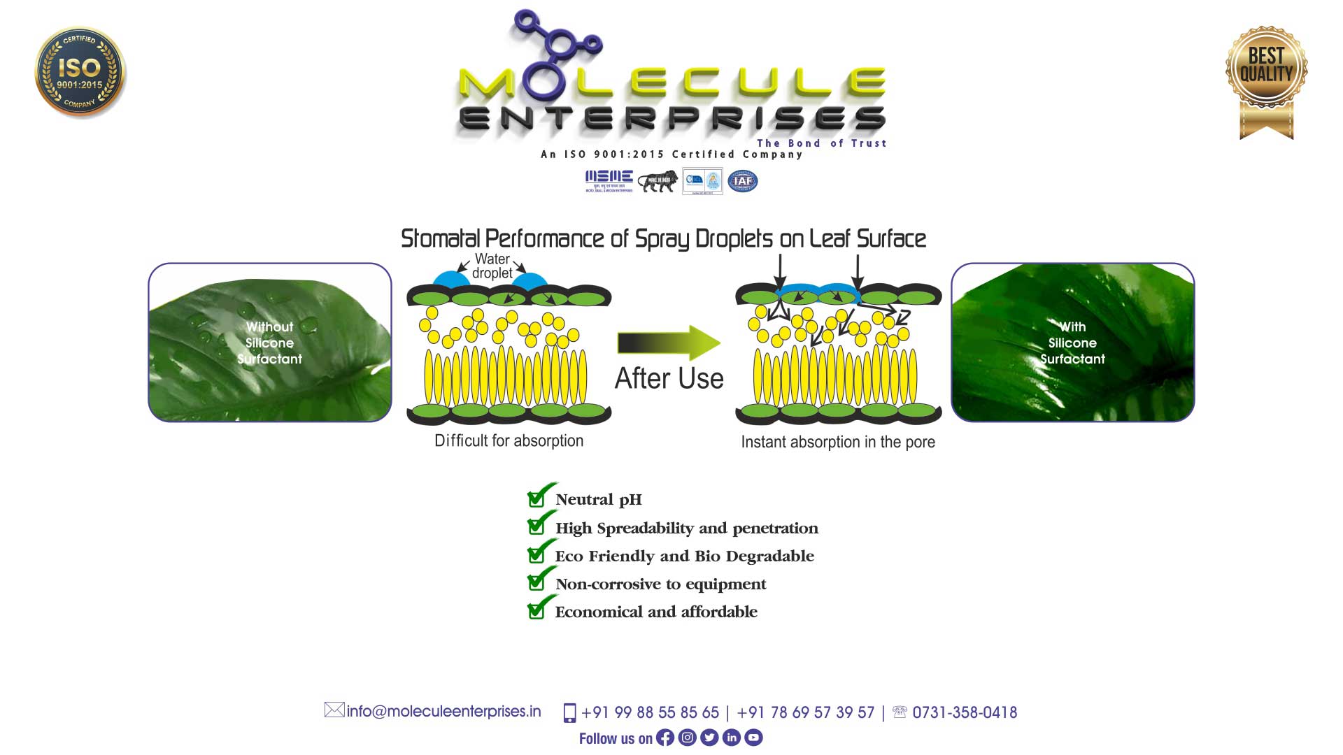 silicone surfactants